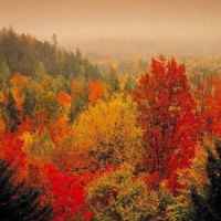 /album/fotogalerij-herfstlandschappen/automne-1-jpg/